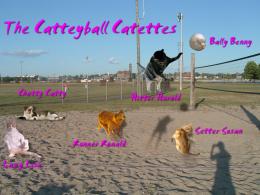 TheCatteyballCatettes